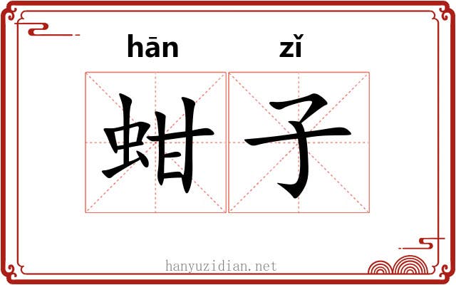 蚶子 蚶子