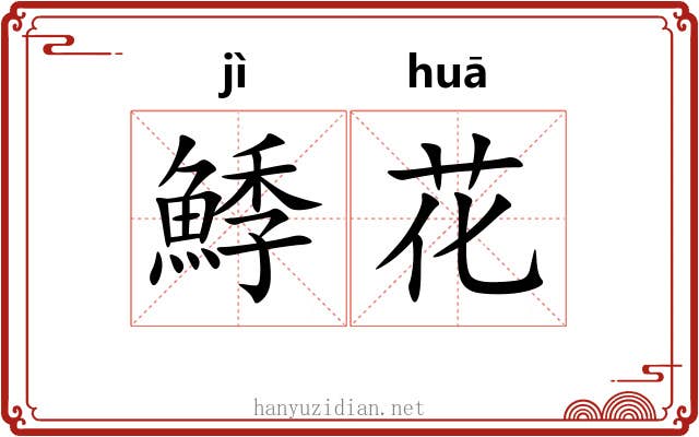 鯚花 鯚花
