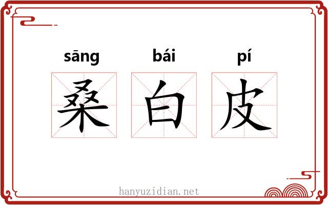 桑白皮