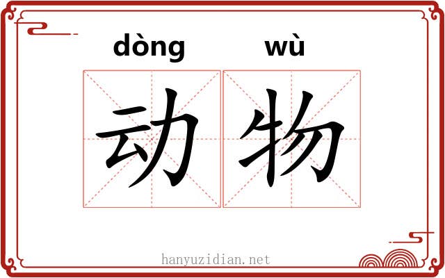 动物 动物