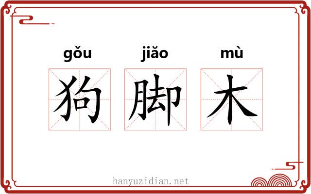 狗脚木 狗脚木