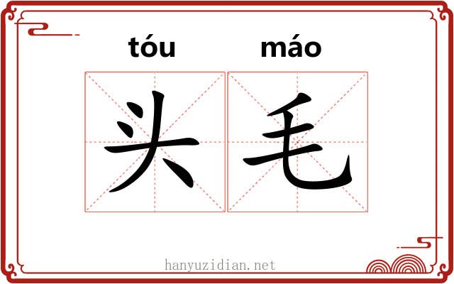 头毛 头毛