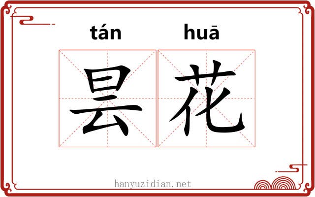 昙花 昙花