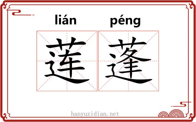 莲蓬 莲蓬