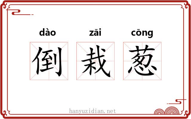 倒栽葱 倒栽葱