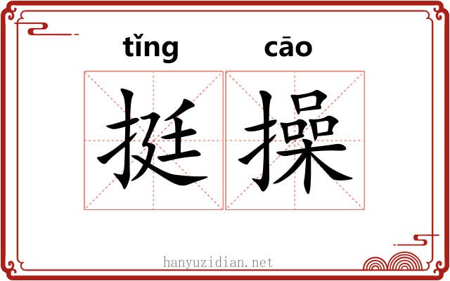 挺操
