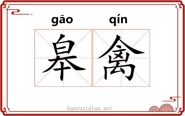 皋禽