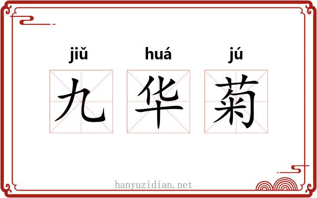 九华菊