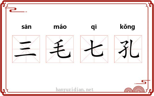 三毛七孔