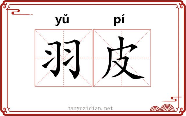 羽皮