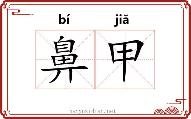 鼻甲