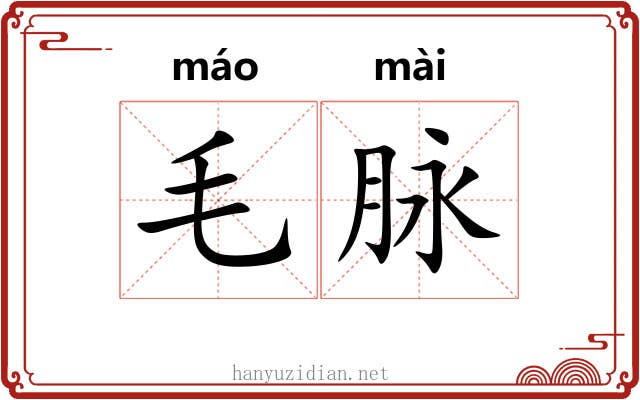 毛脉 毛脉