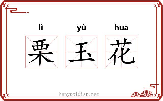 栗玉花 栗玉花