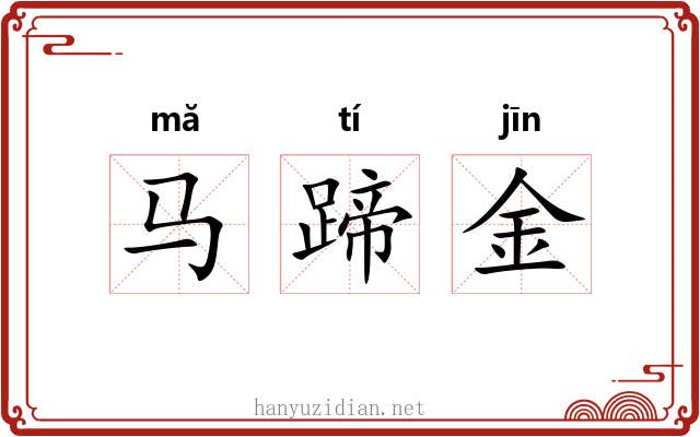 马蹄金 马蹄金