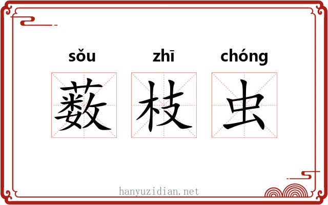 薮枝虫