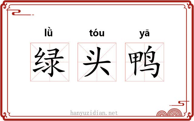 绿头鸭 绿头鸭