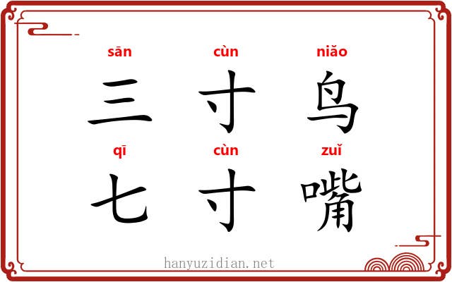 三寸鸟,七寸嘴 三寸鸟,七寸嘴