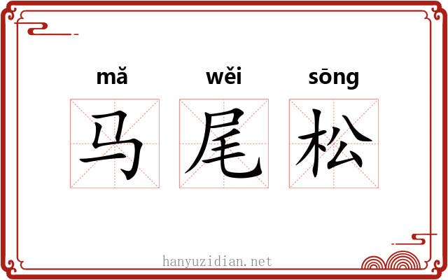 马尾松 马尾松