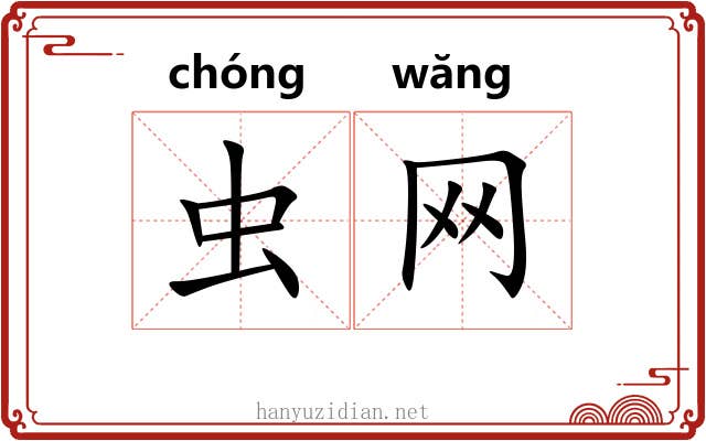 虫网 虫网