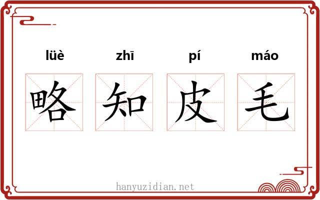 略知皮毛 略知皮毛