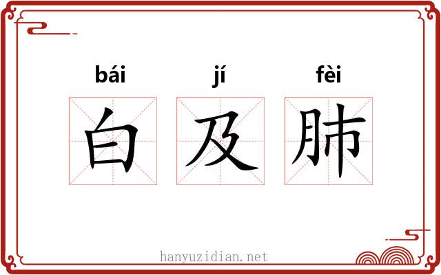 白及肺 白及肺