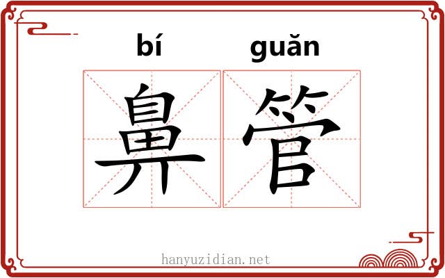 鼻管