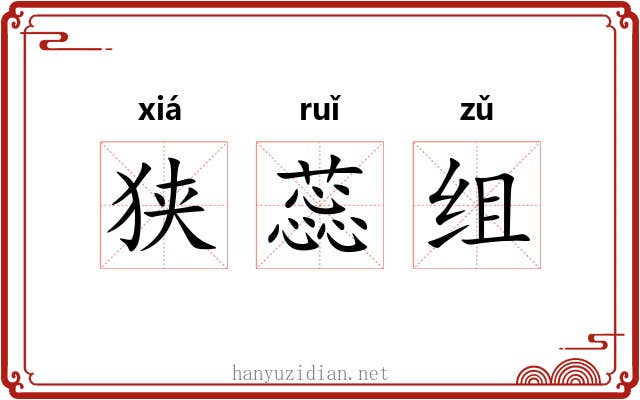 狭蕊组
