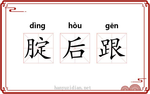 腚后跟 腚后跟