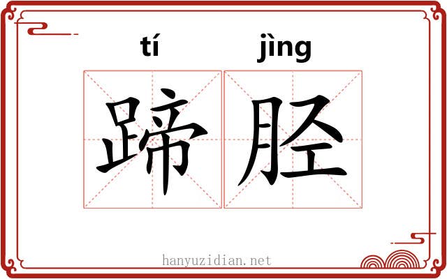 蹄胫