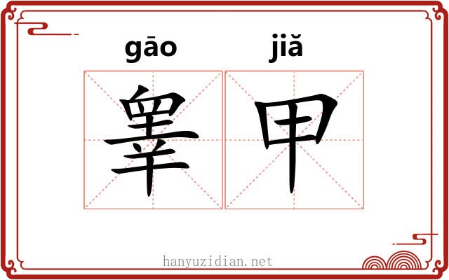 睾甲 睾甲