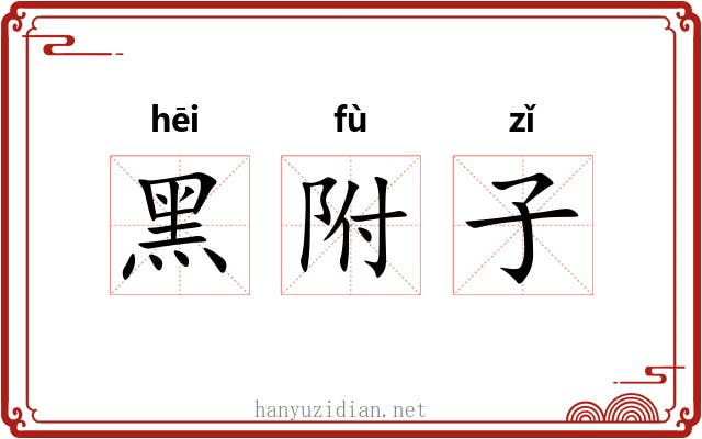 黑附子 黑附子