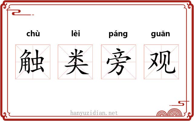触类旁观