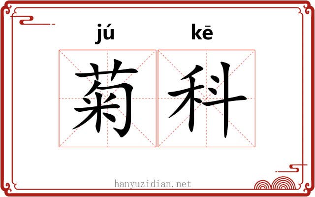 菊科