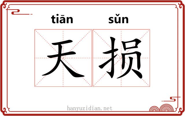 天损