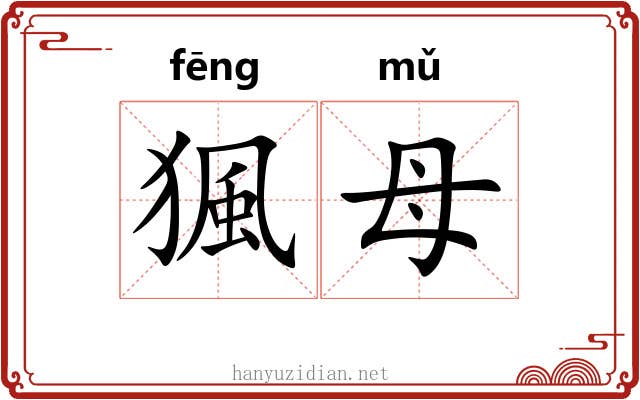 猦母