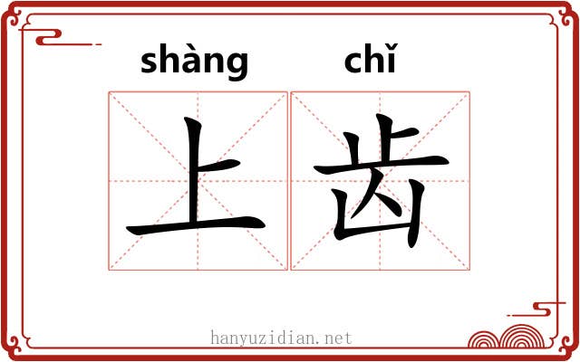 上齿 上齿