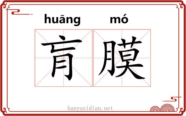 肓膜