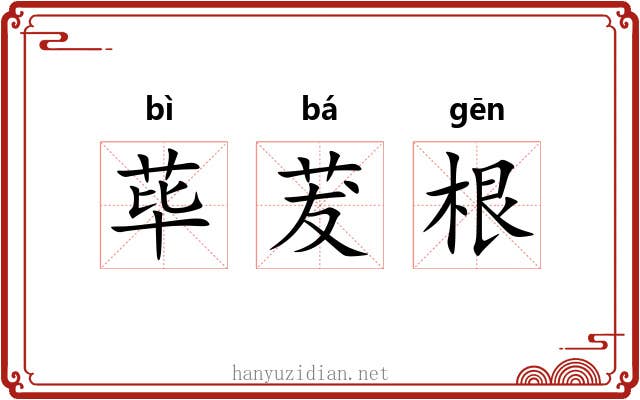 荜茇根
