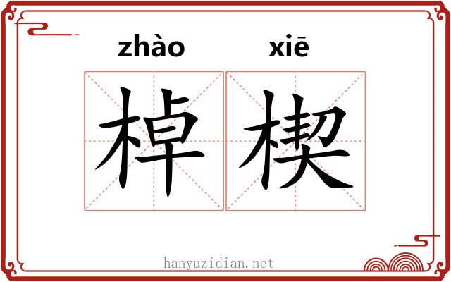 棹楔