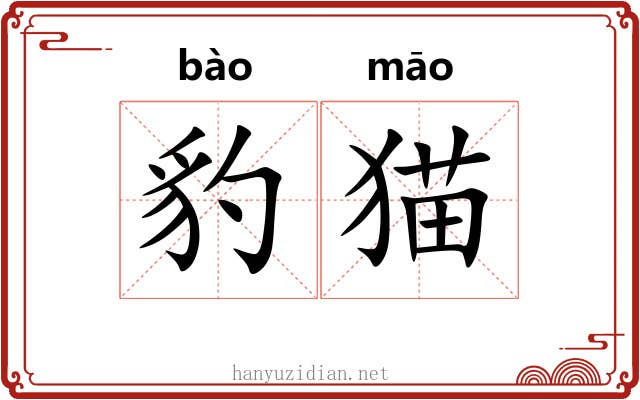 豹猫