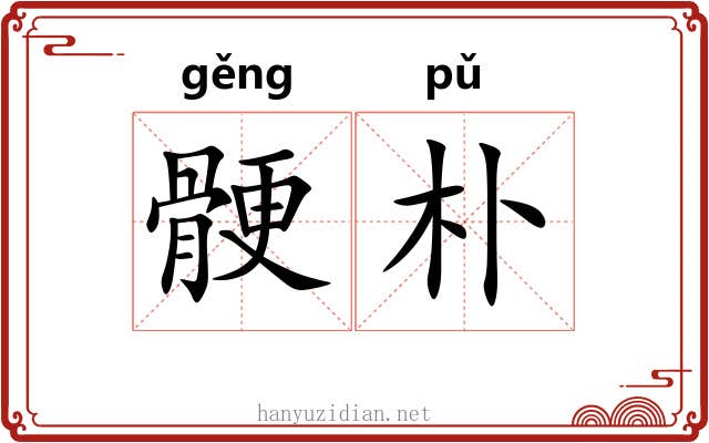 骾朴
