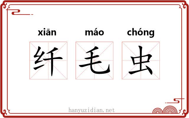 纤毛虫 纤毛虫