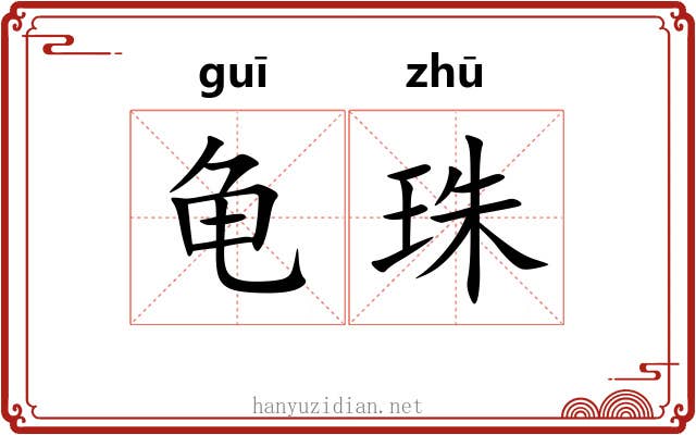 龟珠 龟珠