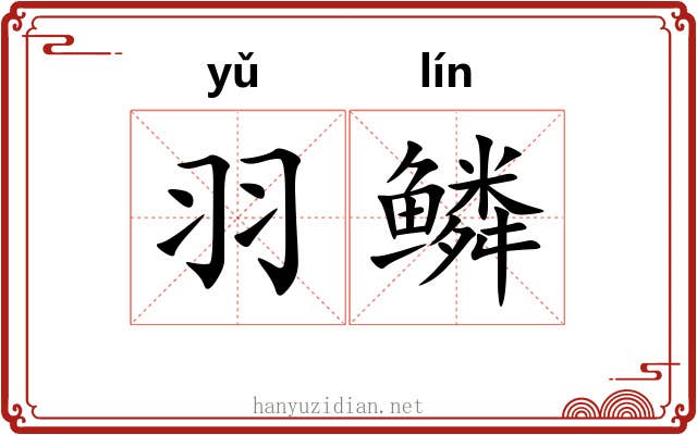 羽鳞