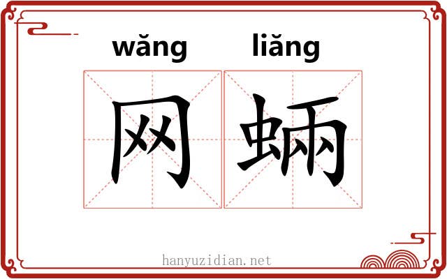 网蜽