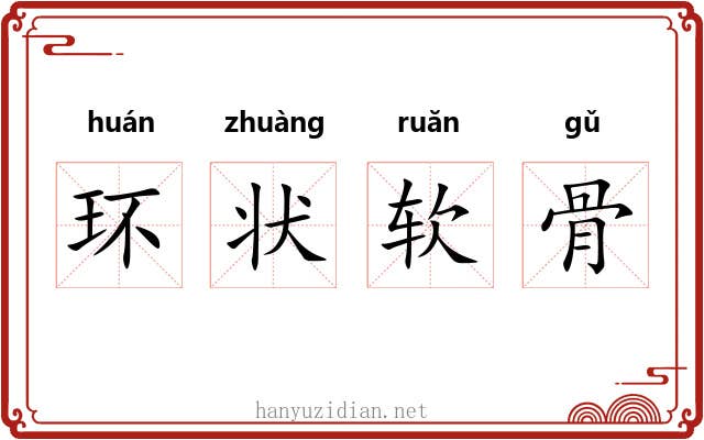 环状软骨 环状软骨
