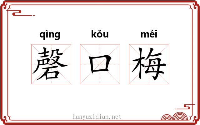 磬口梅