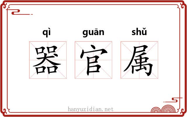 器官属 器官属