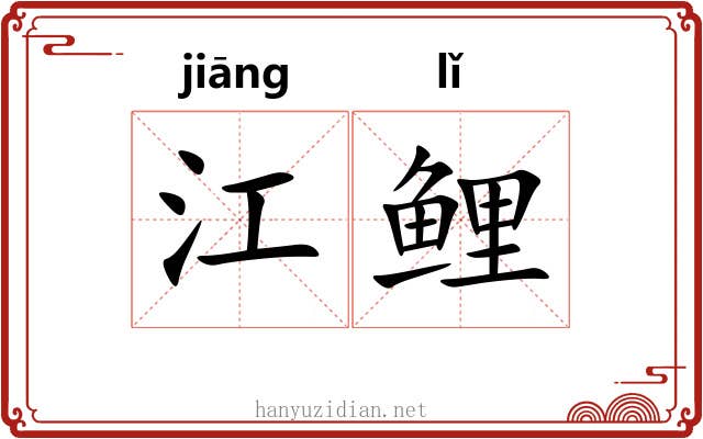 江鲤