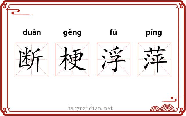 断梗浮萍 断梗浮萍